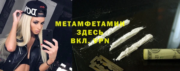 шишки Аркадак