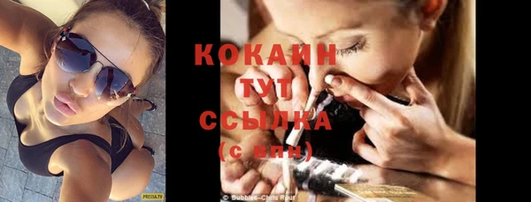 шишки Аркадак