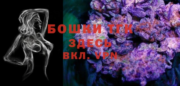 шишки Аркадак