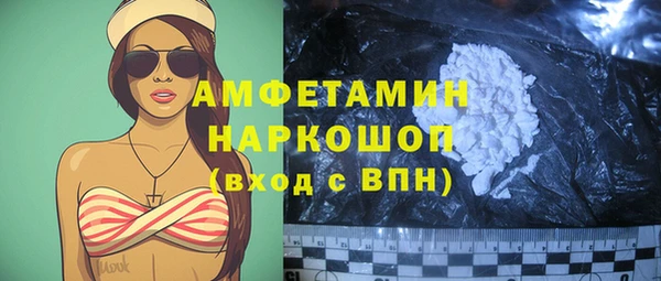 шишки Аркадак