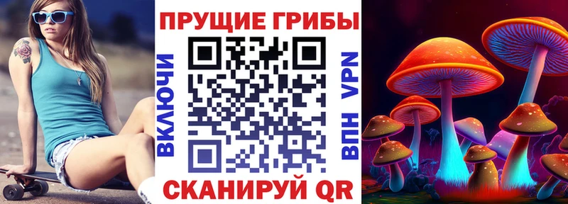 Псилоцибиновые грибы ЛСД  mega зеркало  Пролетарск 